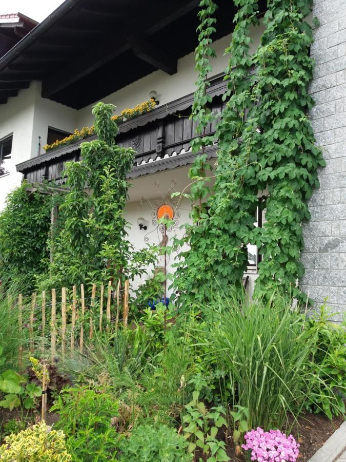 Ferienwohnung Gegenfurtner 보브라흐 외부 사진